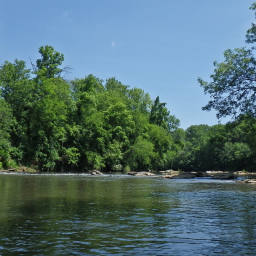 Image 36