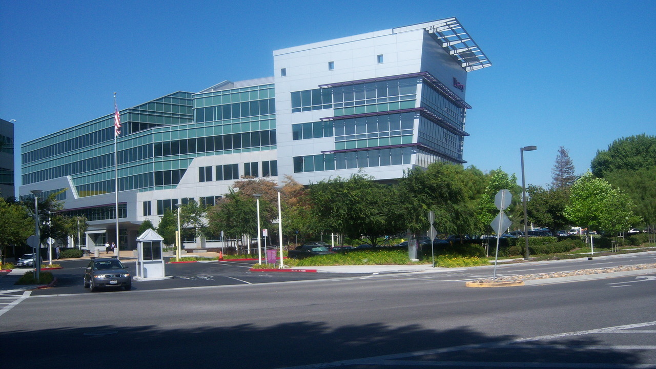 Image 5