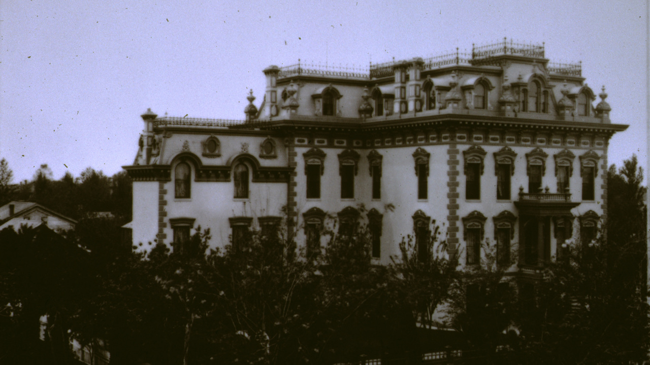 Image 7