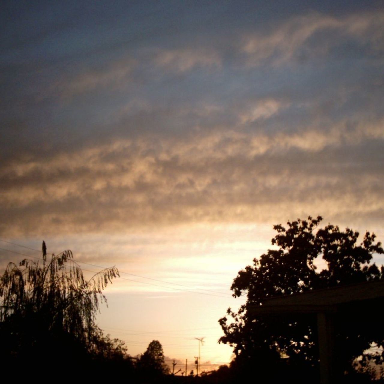 Images 1280x720 4