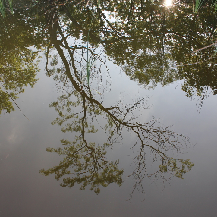 Image 21