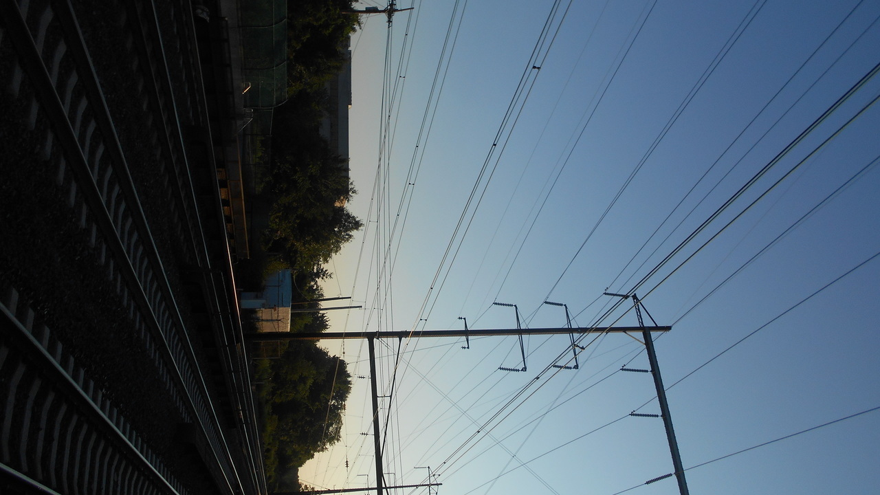 Image 15