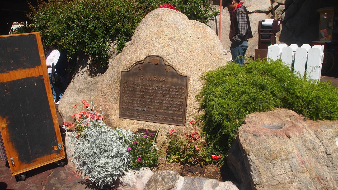 Image 9
