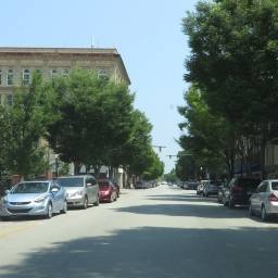 Image 15