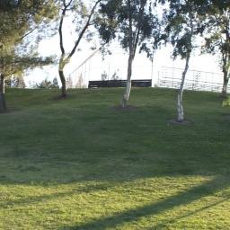 Image 36