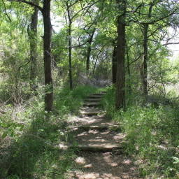 Image 20