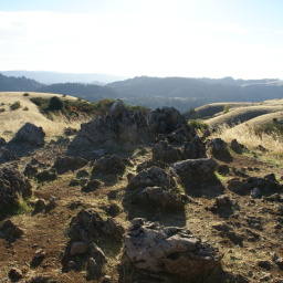 Image 23