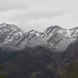 Image 16