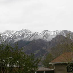 Image 15