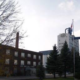 Image 7
