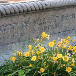 Image 16