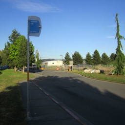 Image 17