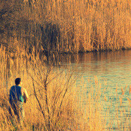 Images 1280x720 5