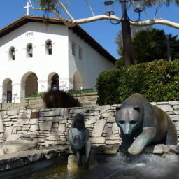 Image 20