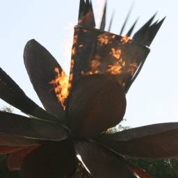 Image 15