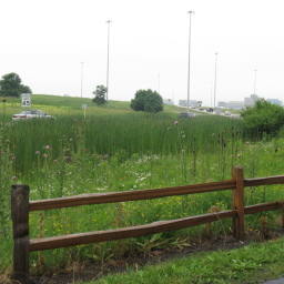 Image 20