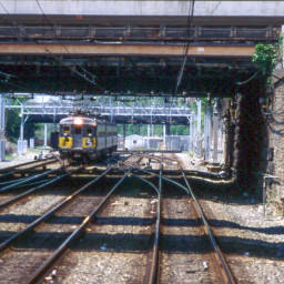 Image 11