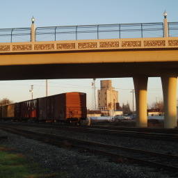 Image 11