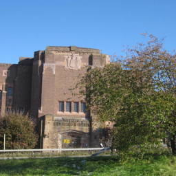 Image 7