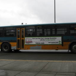 Image 15