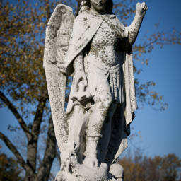 Image 21
