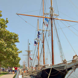 Image 10