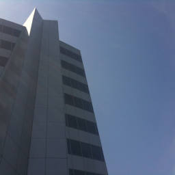 Image 21