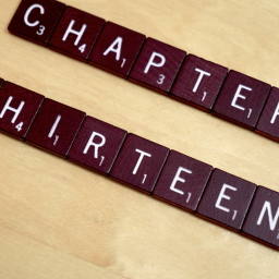 Image 15