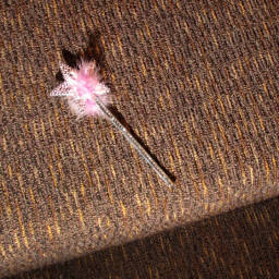 Image 32