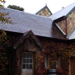 Image 15