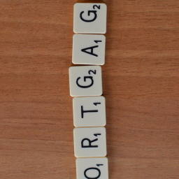 Image 22