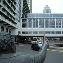 Image 13