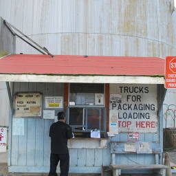 Image 5