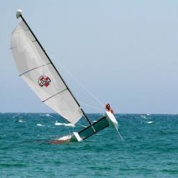 Image 11