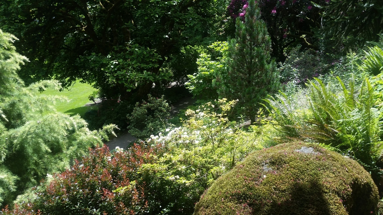 Image 15